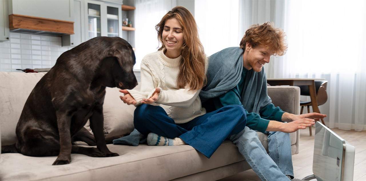 Is Your Home Making Your Dog Sick? Hidden Dangers of Indoor Living